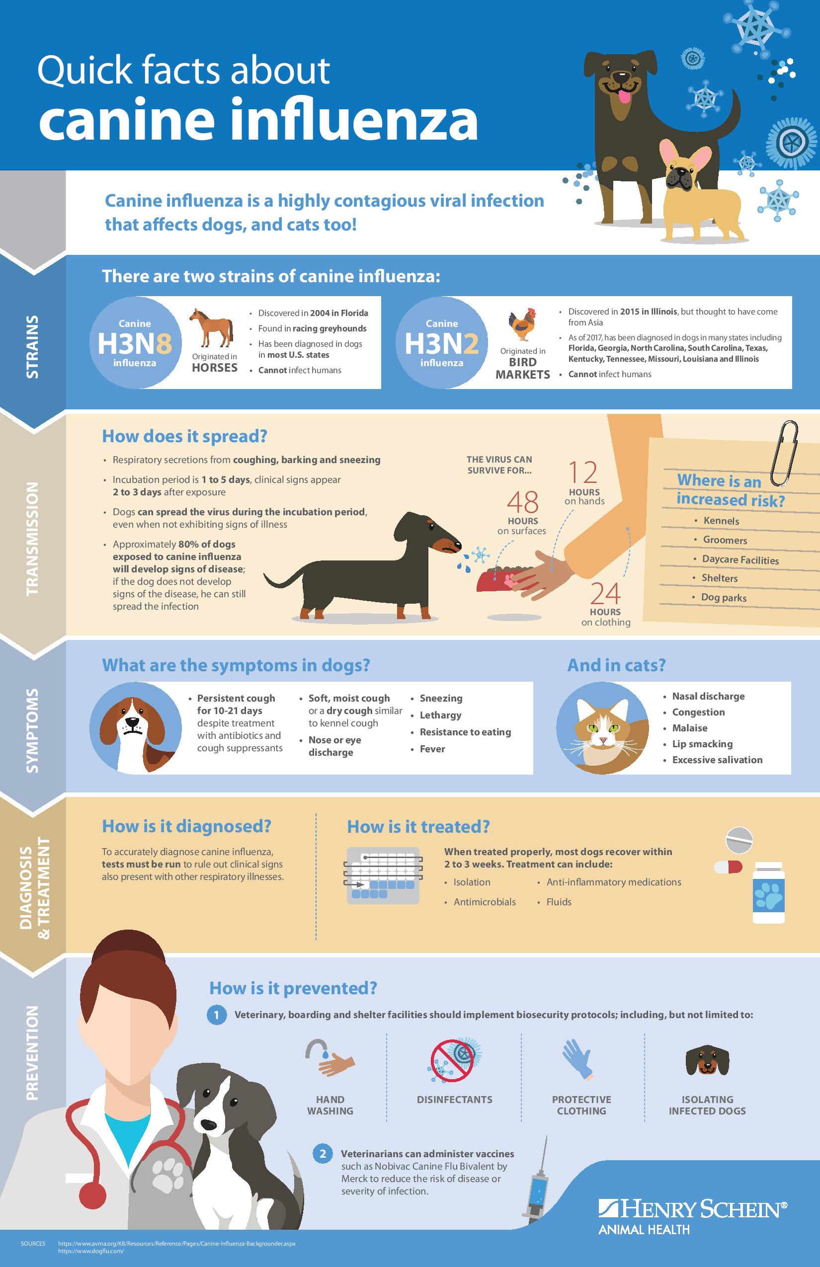 Canine Influenza Los Gatos Dog & Cat Hospital