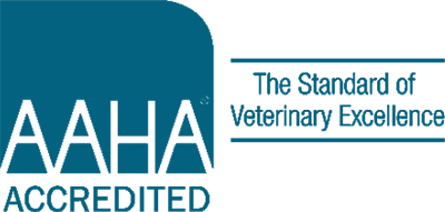 pet vaccination icon