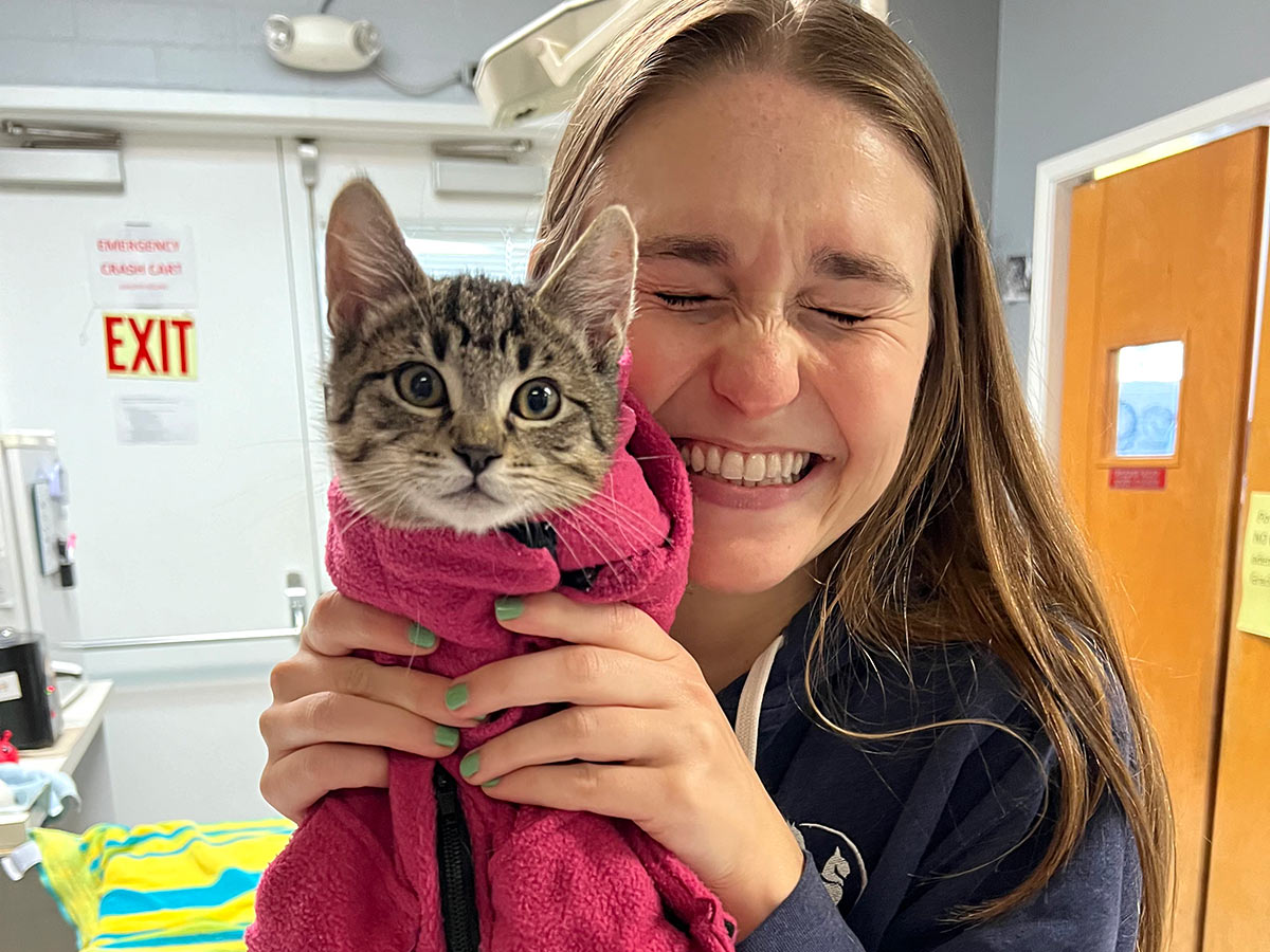 excited-veterinary-team-member-holding-kitten-wrapped-in-pink-towel-1200×900-1 excited veterinary team member holding a kitten wrapped in a pink towel