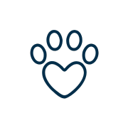 pet vaccination icon