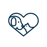 pet vaccination icon