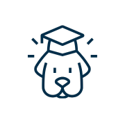 pet vaccination icon