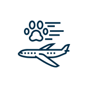 pet vaccination icon