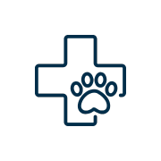 pet vaccination icon