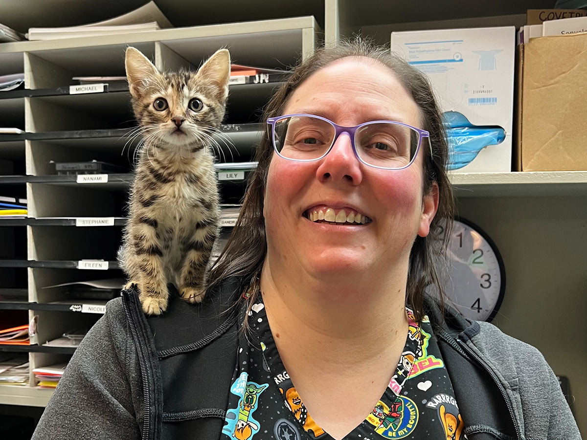 vet-holding-golden-retriever-puppy-at-Los-Gatos-Dog-and-Cat-Hospital-1067x800-1 veterinary team member smiling with a curious tabby kitten on her shoulder