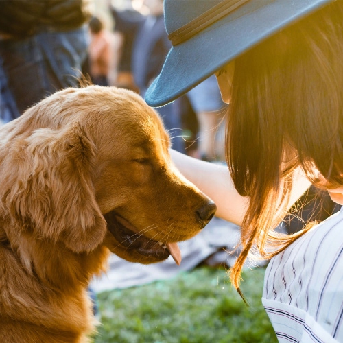 happy dog with girl