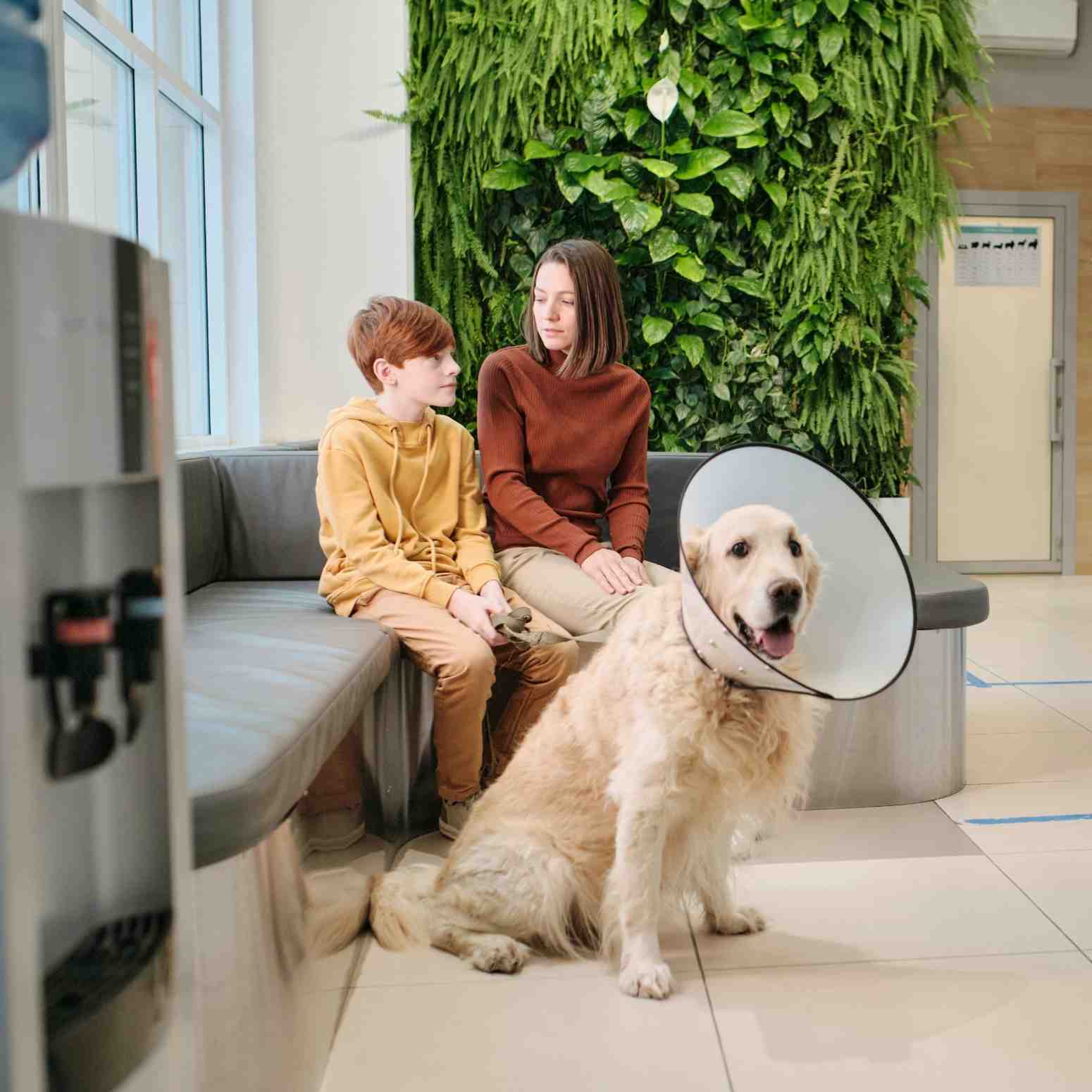 a girl and a boy waiting with their pet