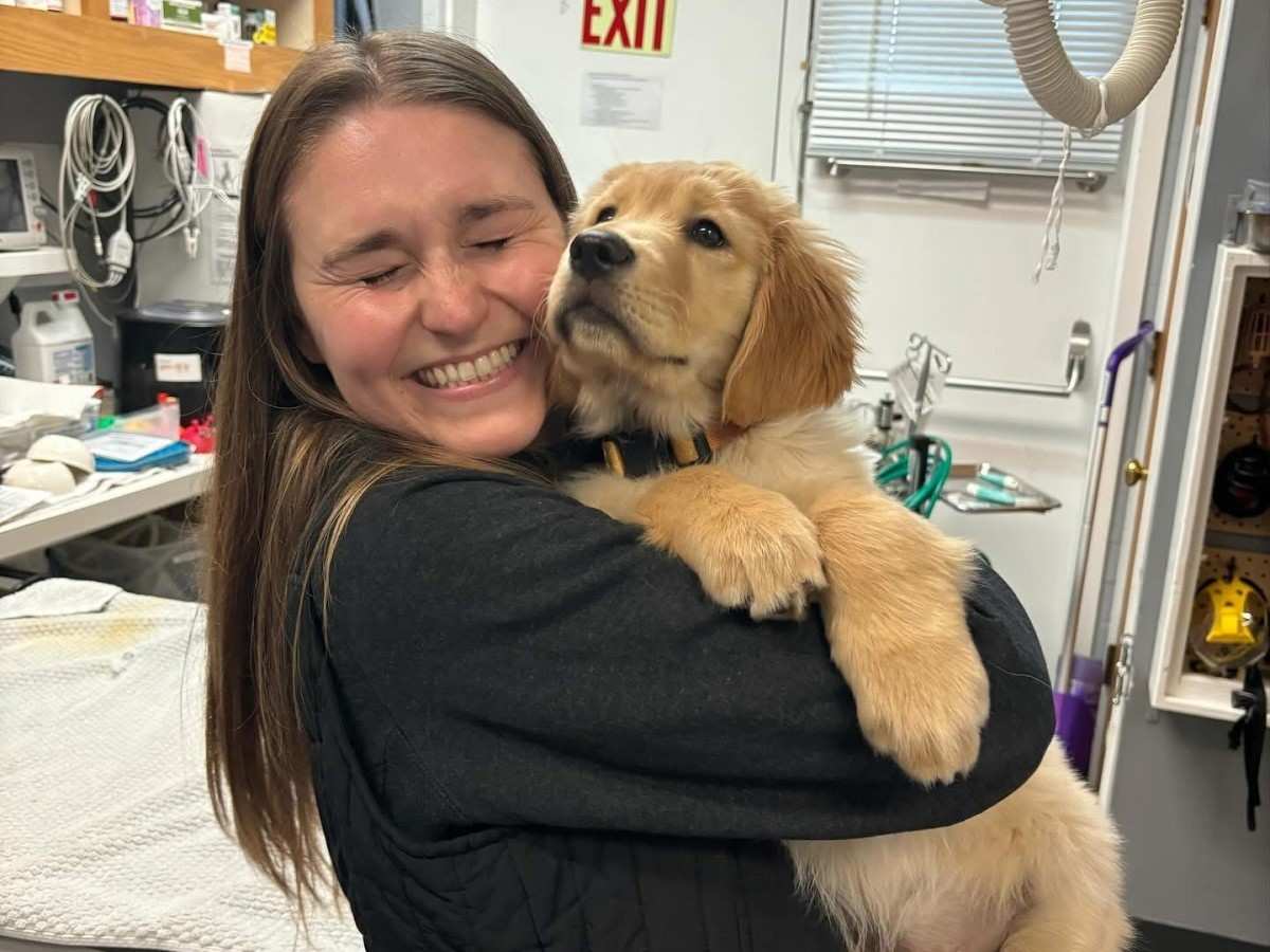 happy lady holding hugging a golden puppy