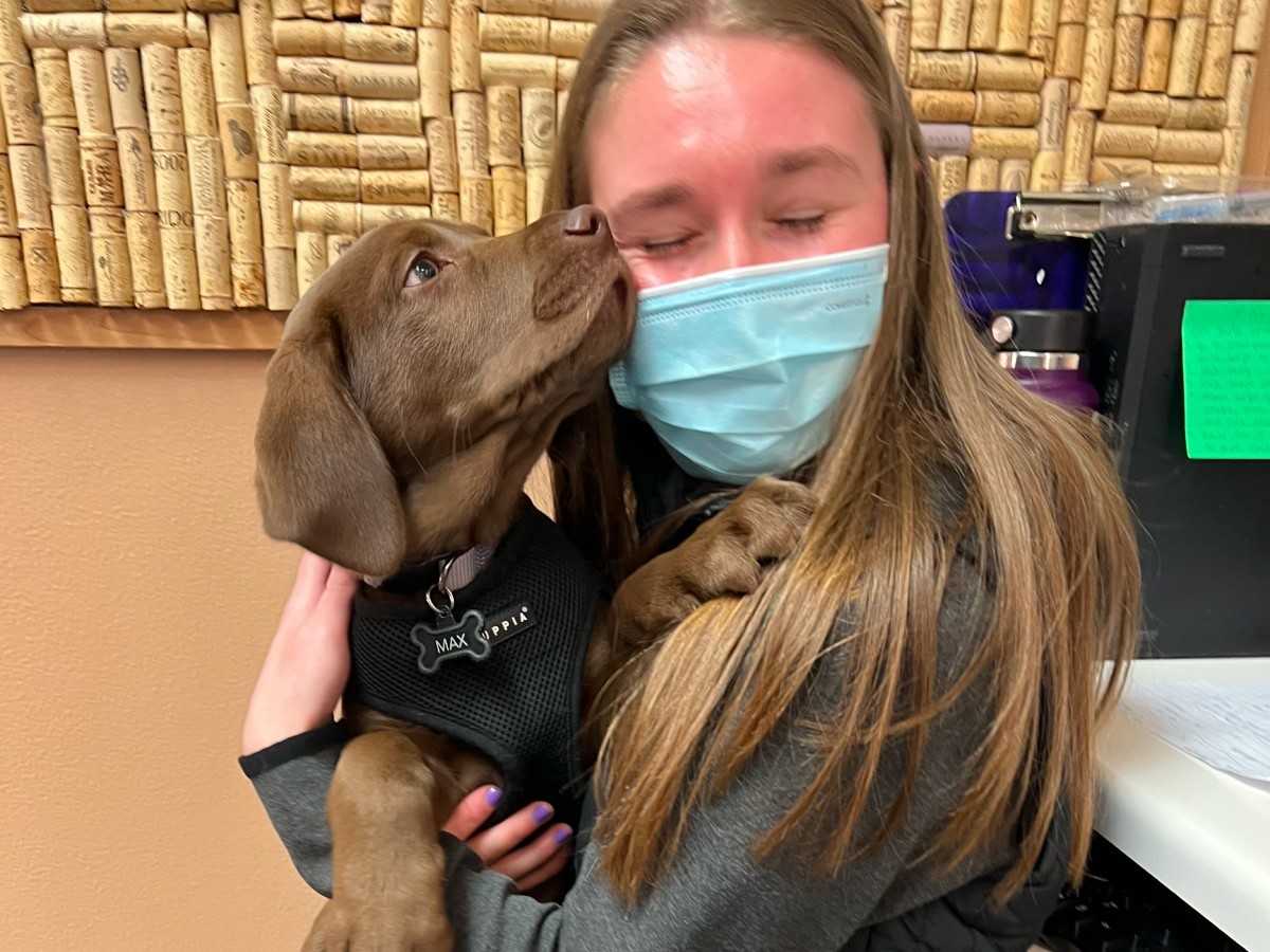 masked lady holding a puppy masked lady holding a puppy