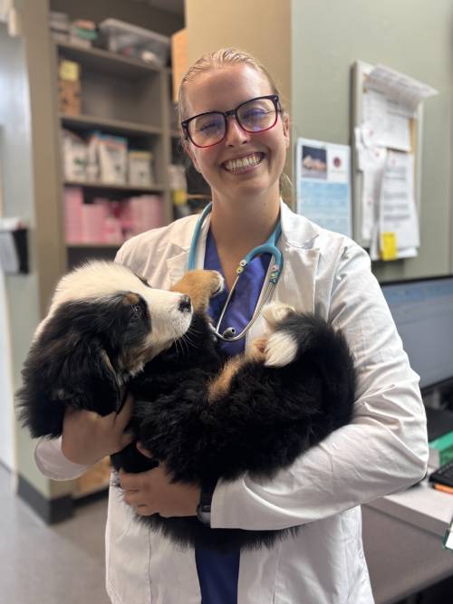 vet holding a pet and smiling