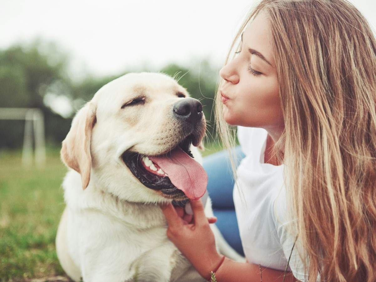 vet-holding-golden-retriever-puppy-at-Los-Gatos-Dog-and-Cat-Hospital-1067x800-1 white dog with lady in the ground
