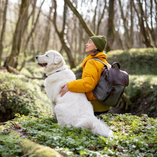 white dog with lady wearing mustard jacket in the forest