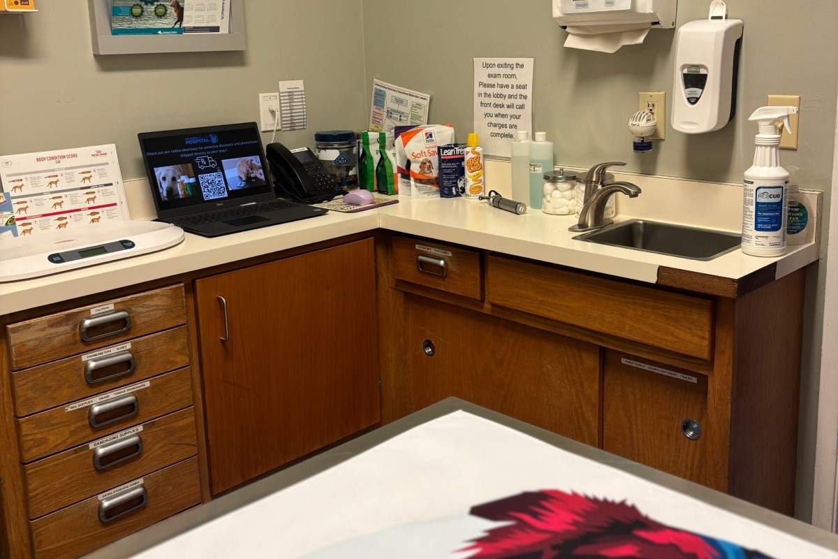 xrayroom xray room