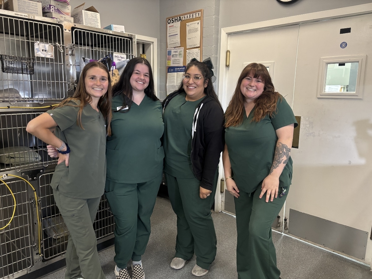 Los Gatos Dog & Cat Hospital staff