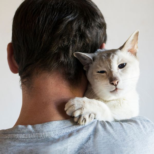 closeup of white cat being held by their owner