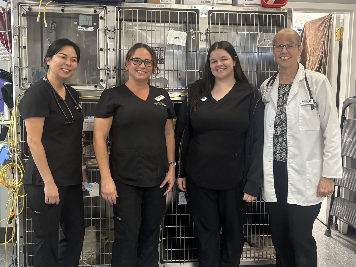 Los Gatos Dog & Cat Hospital staff