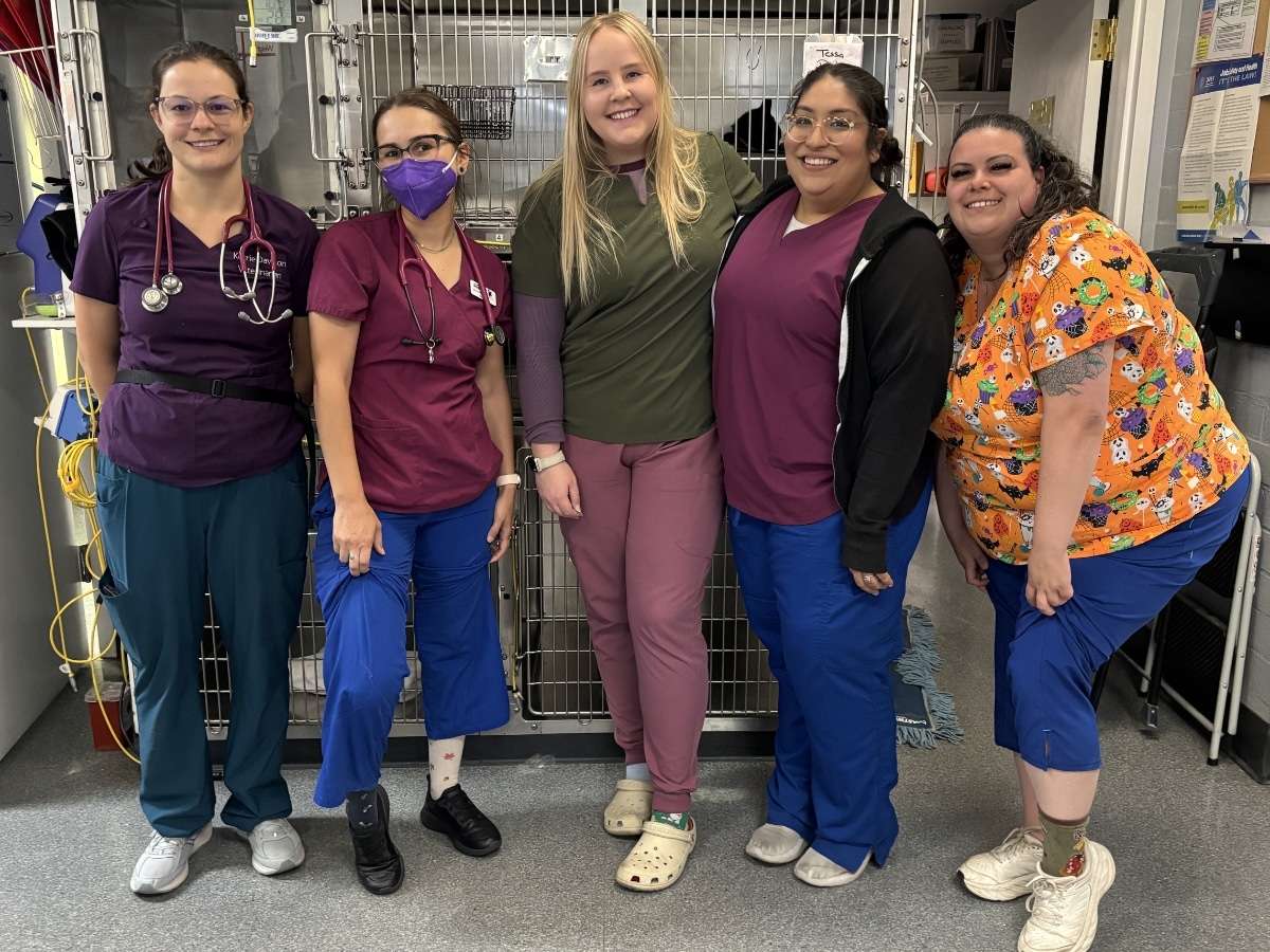 Los Gatos Dog & Cat Hospital staff