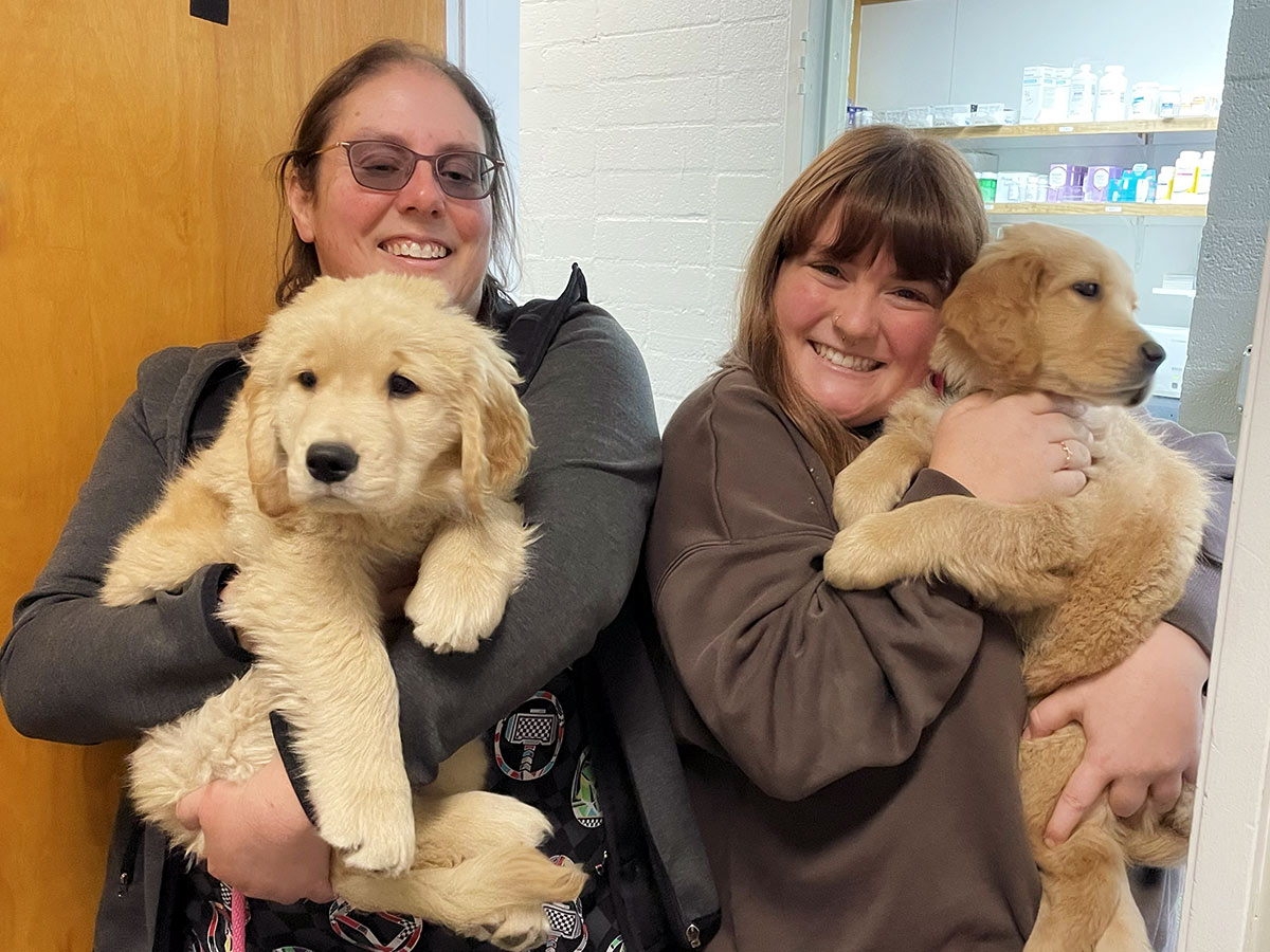 two veterinary team members smiling while holding golden retriever puppies