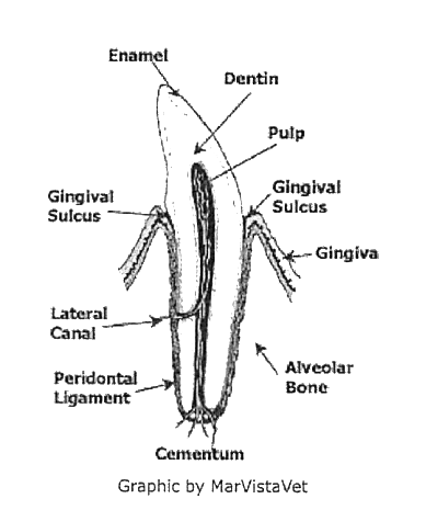 Medical image medical products