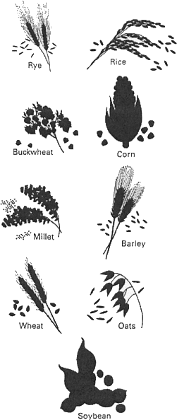 Medical image medical products