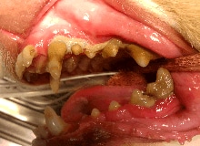 Concept of household cleaners on gray textured table