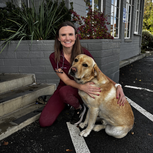 Dr. Amy Sheehey